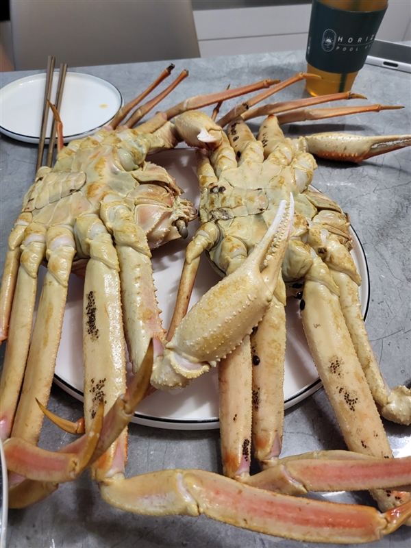 20250702113333472_KakaoTalk_20220712_190137581.jpg
